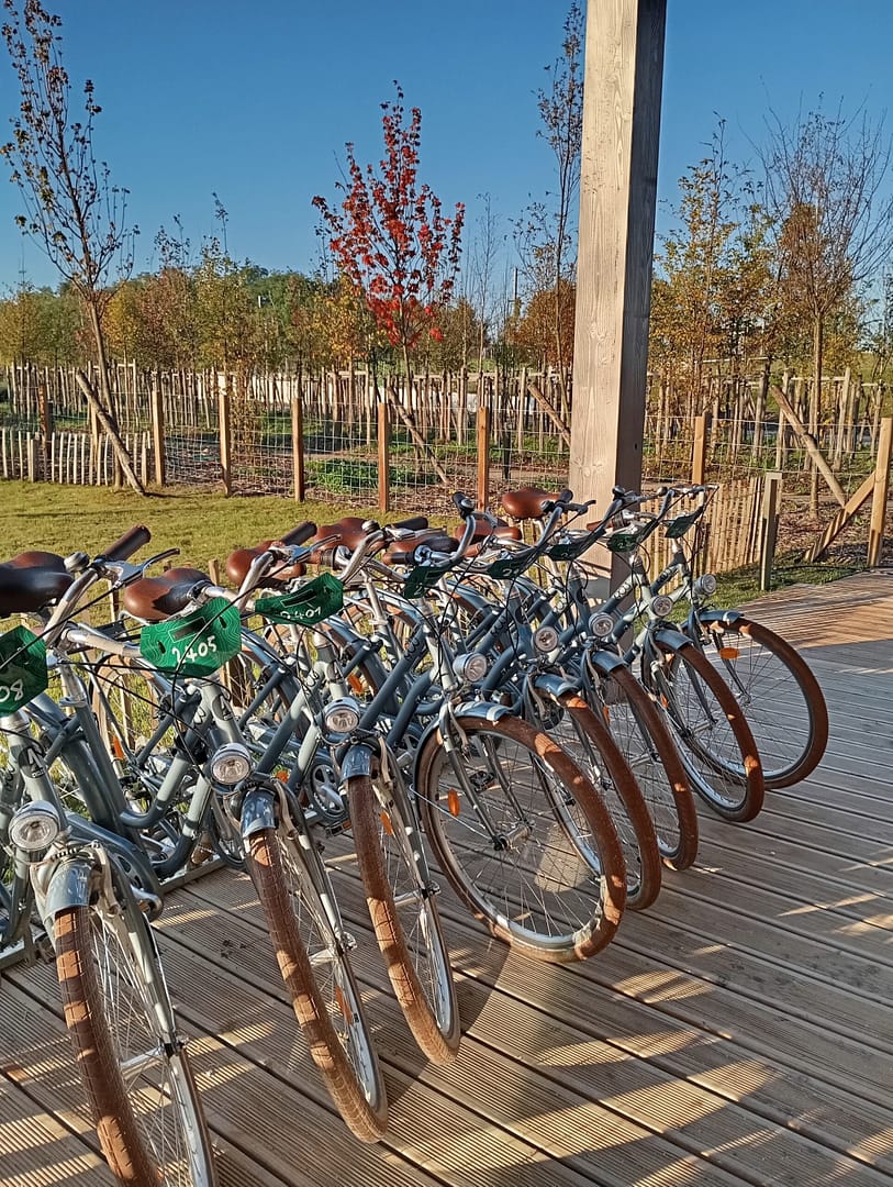 Événement Martin Montcel | Team Building et Incentive Événement Martin Montcel | Team Building et Incentive